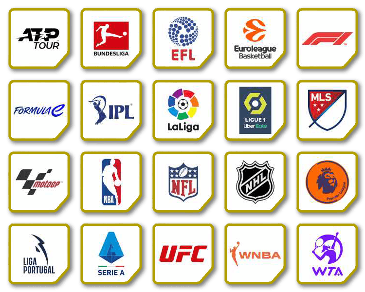 Major sports leagues